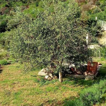 Apartman Lucija Apartament
